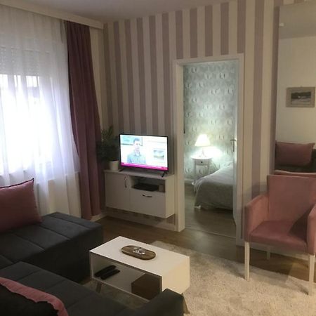 Apartman Kristina Free Parking ノヴィ・サド エクステリア 写真