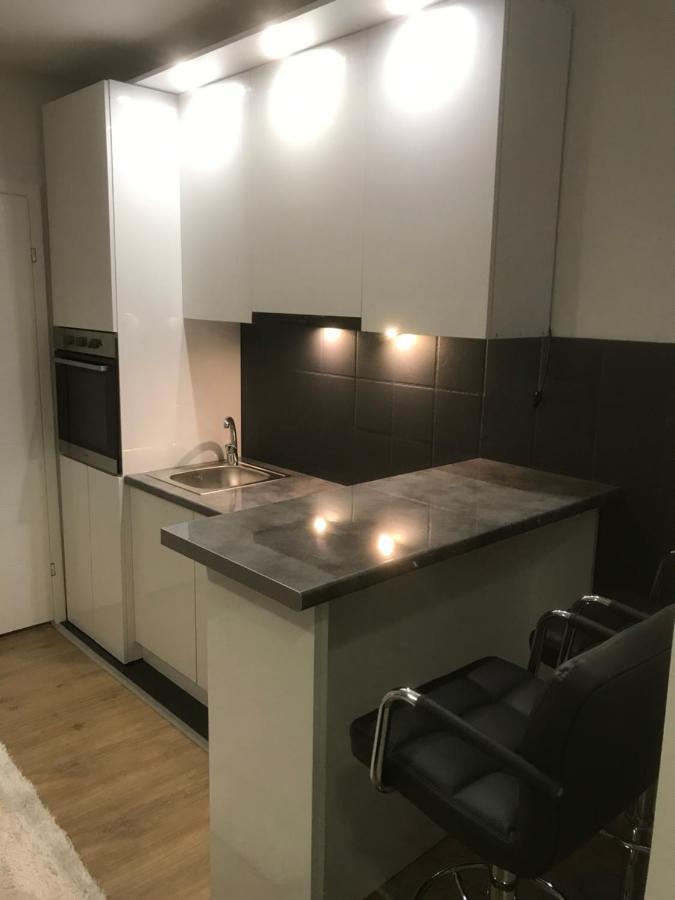 Apartman Kristina Free Parking ノヴィ・サド エクステリア 写真