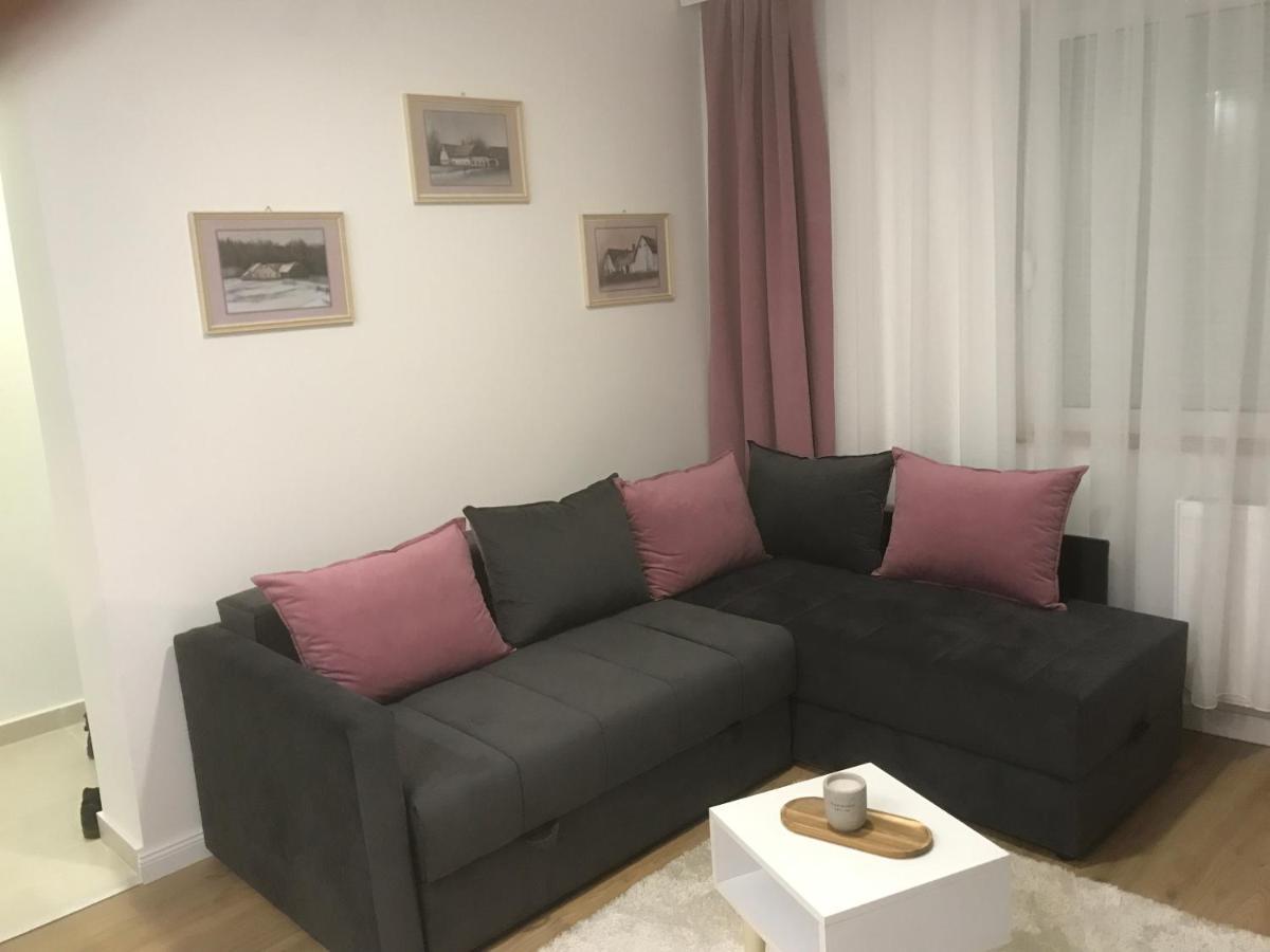 Apartman Kristina Free Parking ノヴィ・サド エクステリア 写真