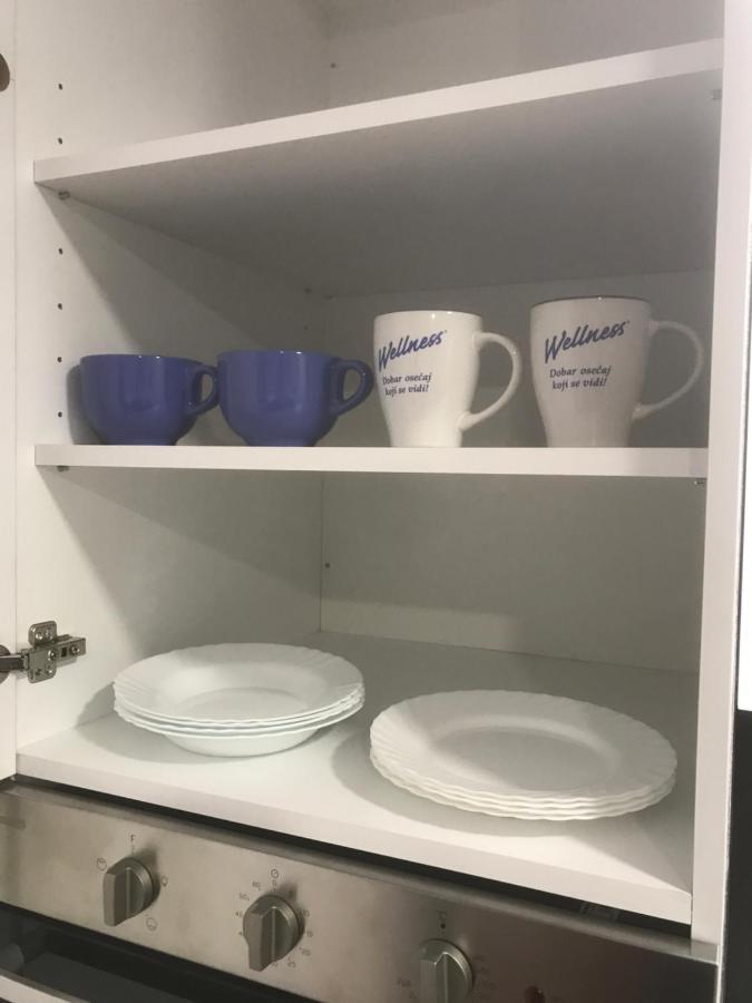 Apartman Kristina Free Parking ノヴィ・サド エクステリア 写真