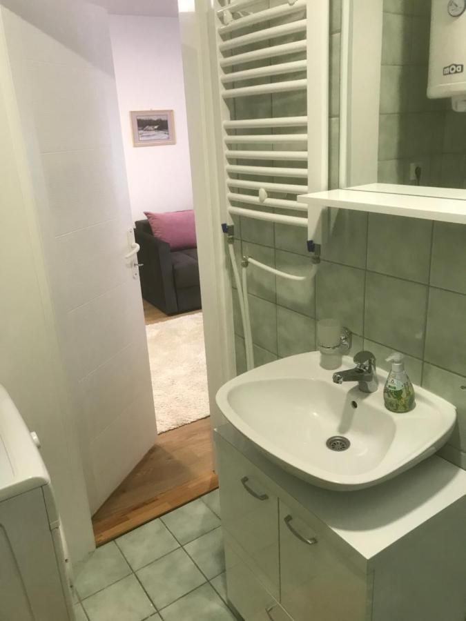 Apartman Kristina Free Parking ノヴィ・サド エクステリア 写真