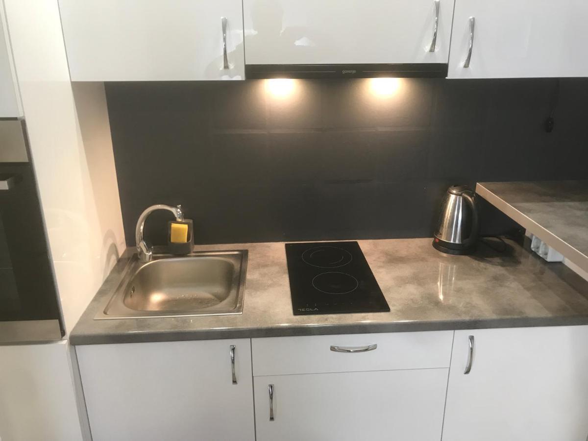 Apartman Kristina Free Parking ノヴィ・サド エクステリア 写真
