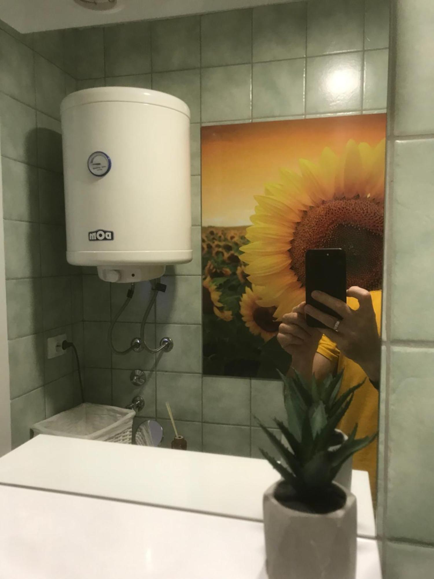 Apartman Kristina Free Parking ノヴィ・サド エクステリア 写真